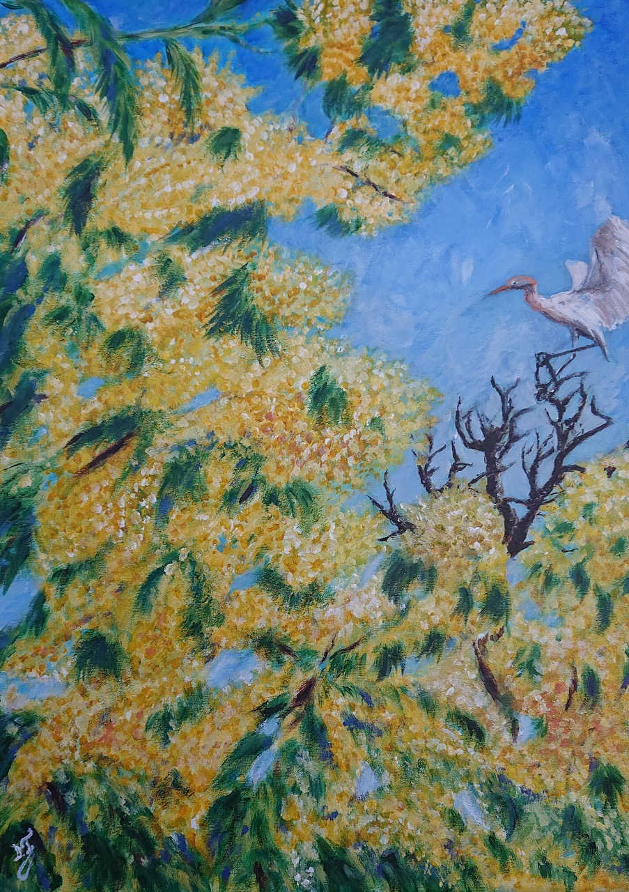artiste peintre oiseaux